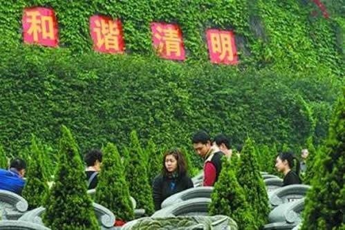 2014������ɨĹ�����