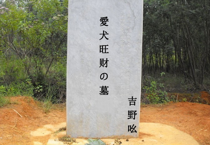 ��Ȯ������������ר�ù�Ĺ��