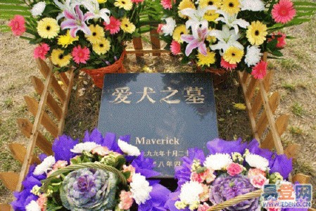 ��ĹרԱ�����ڳ��﹫Ĺ��ְҵ