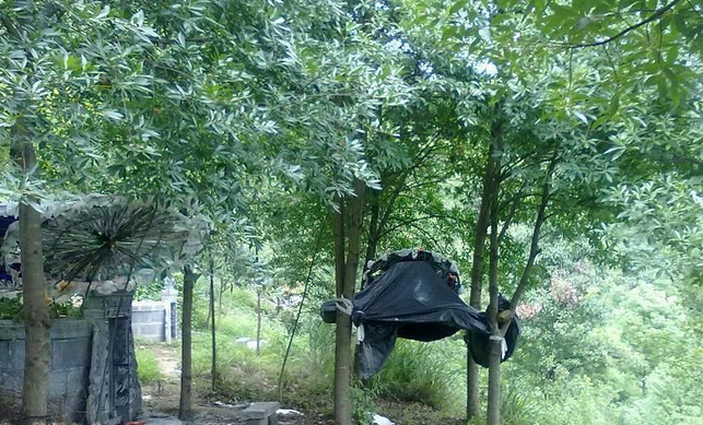 �ײĲ���Ĺ�أ���������������Ϊ�Σ�