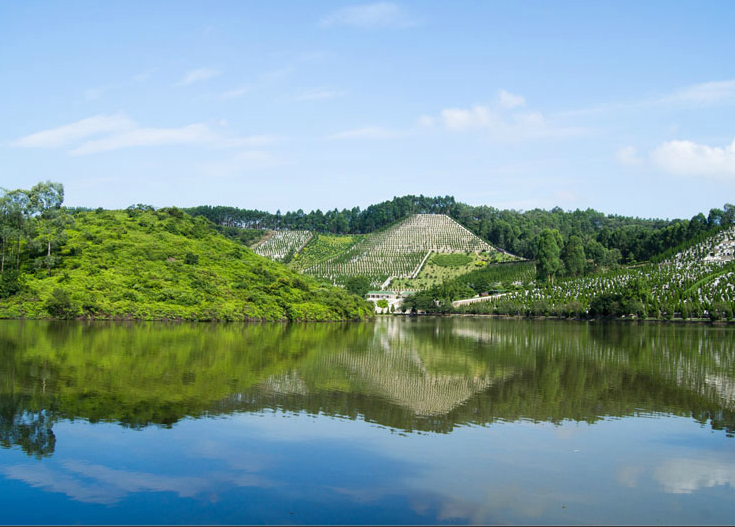 Ĺ�ط�ˮ֮�����ѵ�ˮ��ĹѨ����