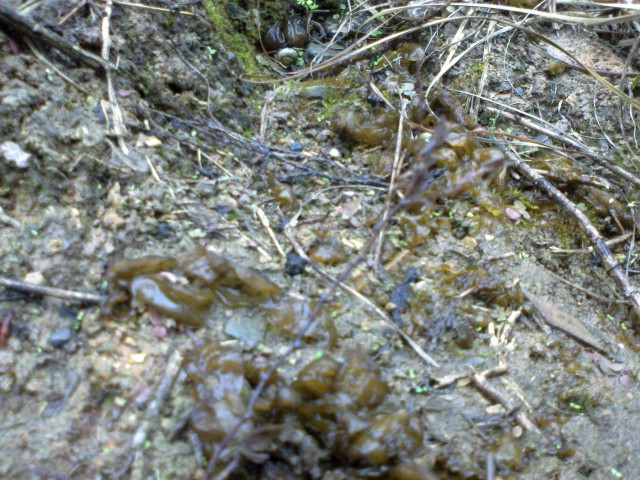 ��Ĺ�ϵ�Ұľ��??�׹�˿