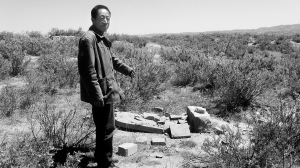 ����Ĺ�����ƻ� ����������Ϊ��