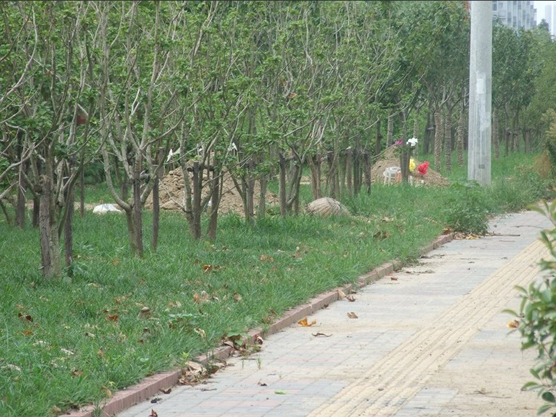 ��Ĺ�����족�¼�֮�����