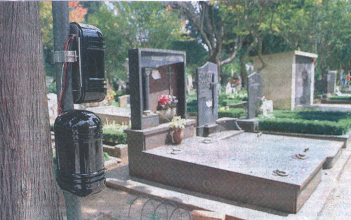 ������Ĺ͵��  �����ӻ�