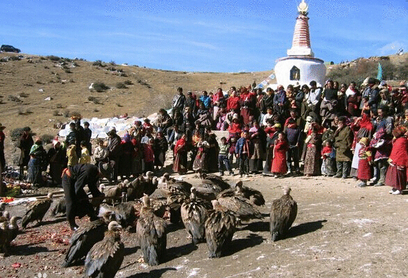 ���ᣬ��Щ��Ϊ��֪��������������