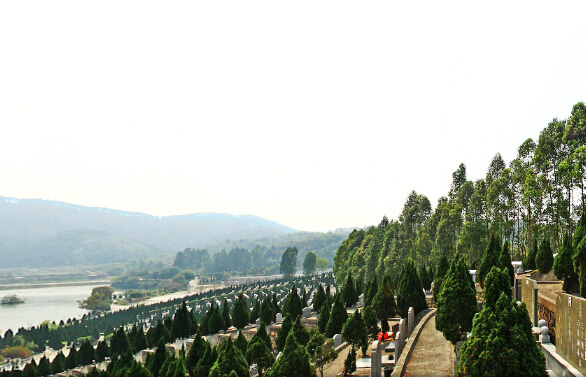 Ĺ�ط�ˮ֮ʮ�����