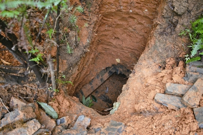 ��Ͷ������Ĺ��� ץ��2����Ĺ��