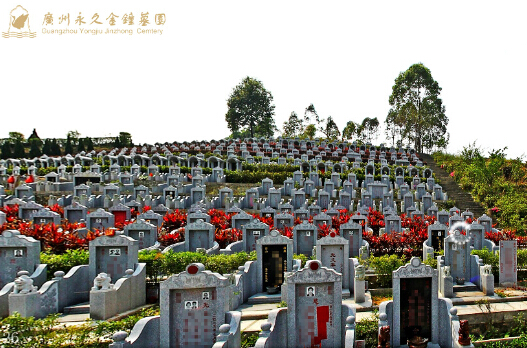 ʲô��Ĺ�أ�������Щ��ƣ�