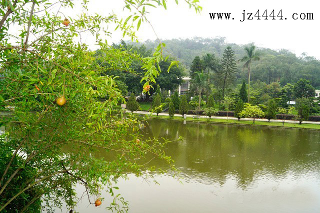 ��ֲ��Щֲ���ɸ��Ʒ�ˮ��������