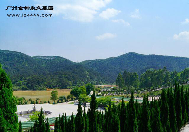 Ĺ�ؿ�����ֲ��Щ��ľ��