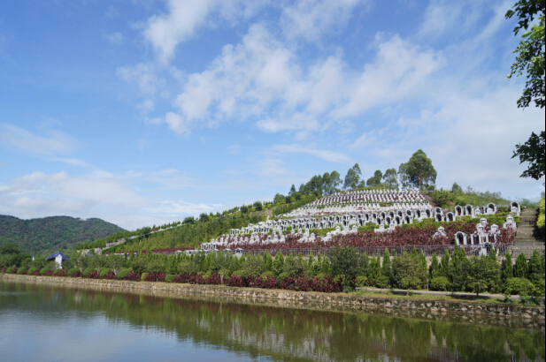 ʲô��Ĺ԰������״������Щ�ص㣬Ĺ԰�Ĵ����к����壿