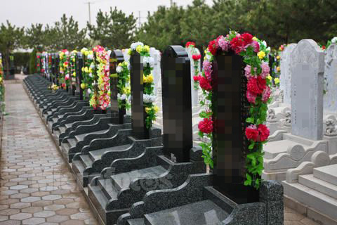 �ӹ�Ĺ����������ѡ��Ĺ��һЩ��������