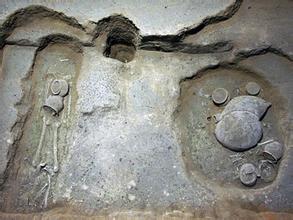 �ҹ�����Ĺ�ص��ݱ����