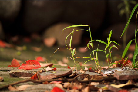 һλ������ǰ����¼����ѡ��